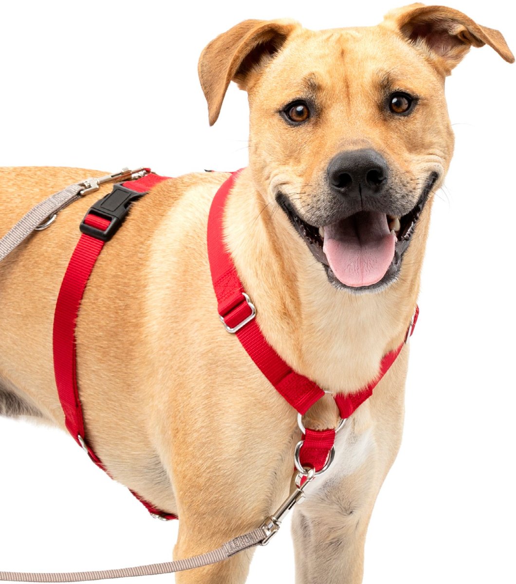 Petsafe 3-1 SureFit Harness L