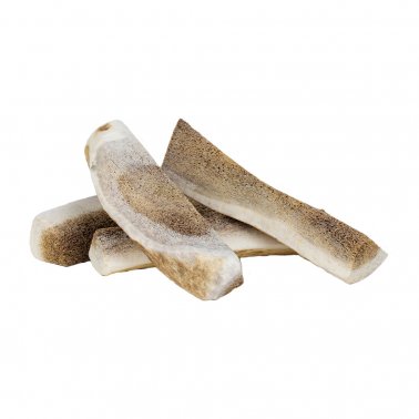 Primal Elk Antler Small Split 4-5"