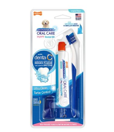 Nylabone Advanced Oral Care Original Flavor Puppy Dental Kit 2.5oz