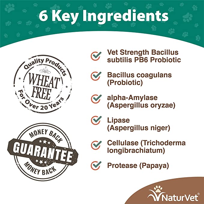 NaturVet Digestive Wheat Free Advanced Probiotics & Enzymes Plus Vet Strength PB6 Probiotic Dog Soft Chew 70 Count