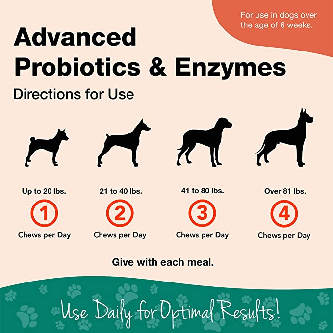 NaturVet Digestive Wheat Free Advanced Probiotics & Enzymes Plus Vet Strength PB6 Probiotic Dog Soft Chew 70 Count